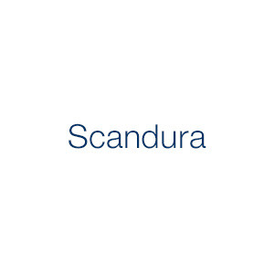 Scandura Holdings